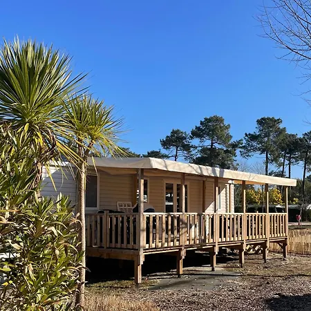 Mobil Neuf Du Samedi Au Samedi キャンプ場 *