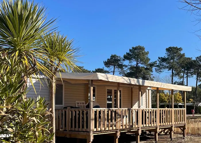 Mobil Neuf Du Samedi Au Samedi Kemp *